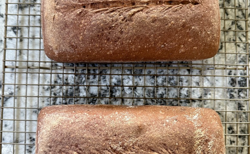 An Imperfect Pairing: Egg Salad and Pumpernickel&nbsp;Bread
